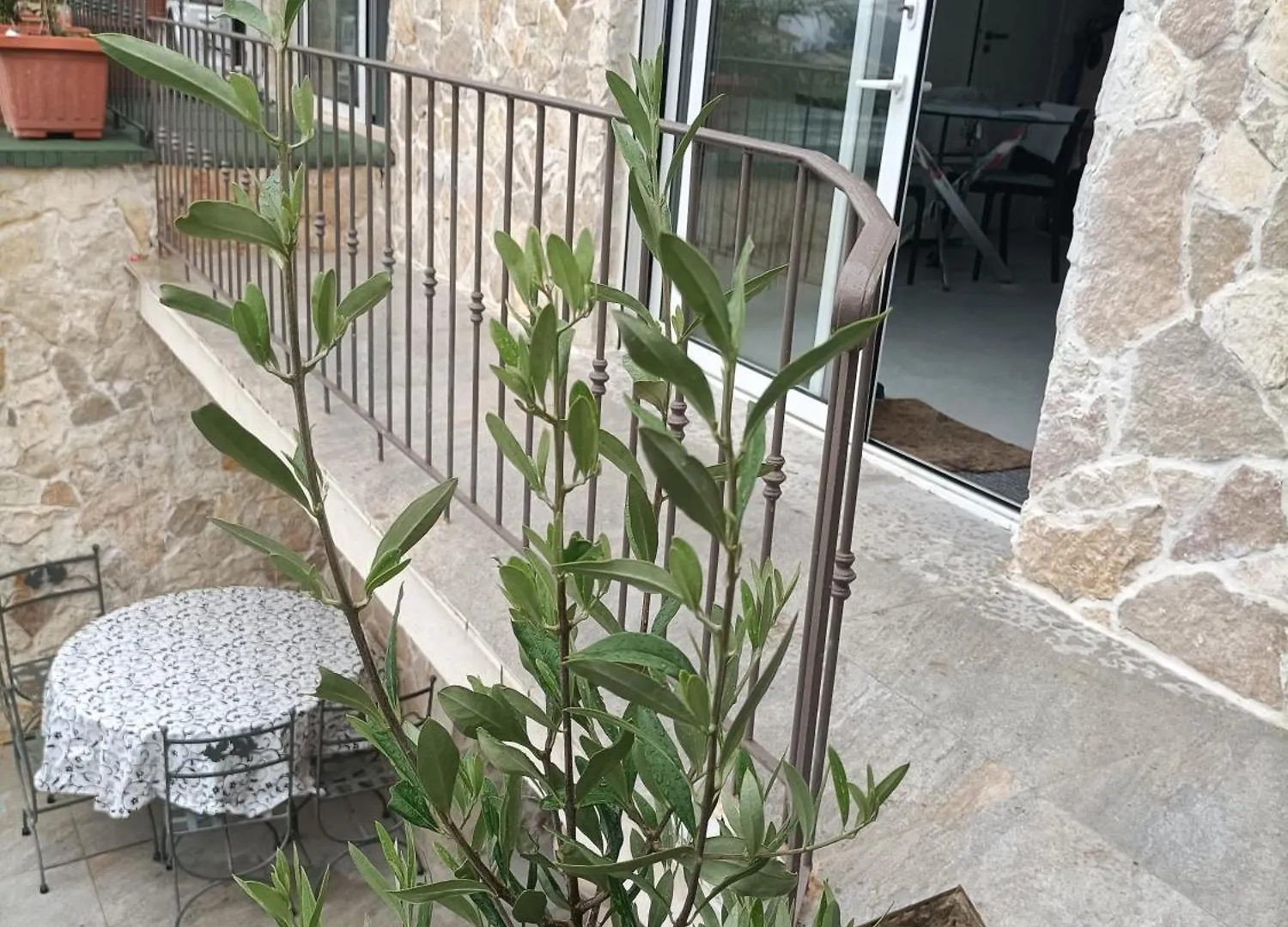 Maison Vue Mer A 5 Min De Monaco Roquebrune-Cap-Martin Villa