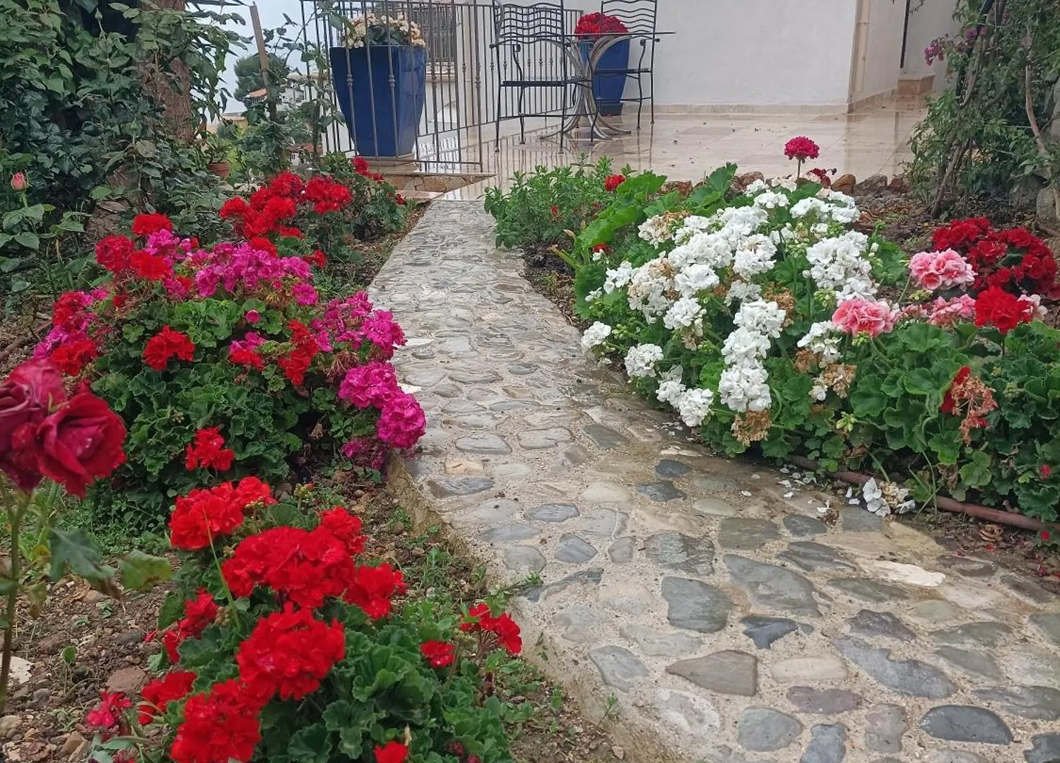 Maison Vue Mer A 5 Min De Monaco Roquebrune-Cap-Martin